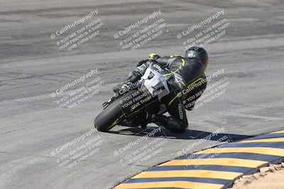 media/Feb-04-2024-SoCal Trackdays (Sun) [[91d6515b1d]]/4-Bowl Backside (11am)/